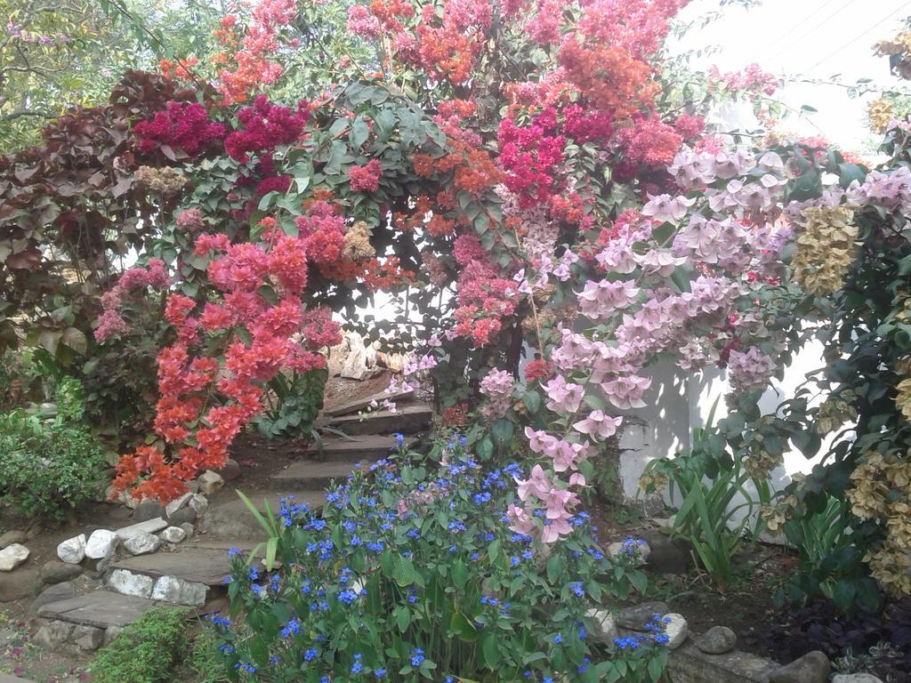 Jheelam Homestay โบปาล ภายนอก รูปภาพ