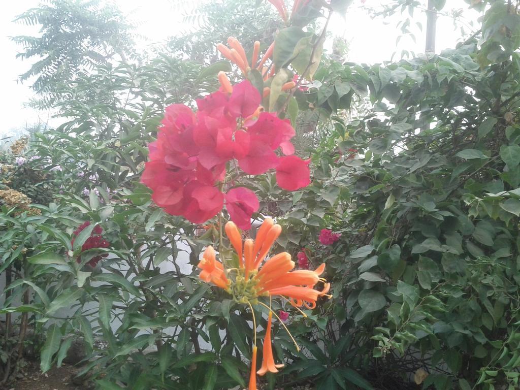 Jheelam Homestay โบปาล ภายนอก รูปภาพ