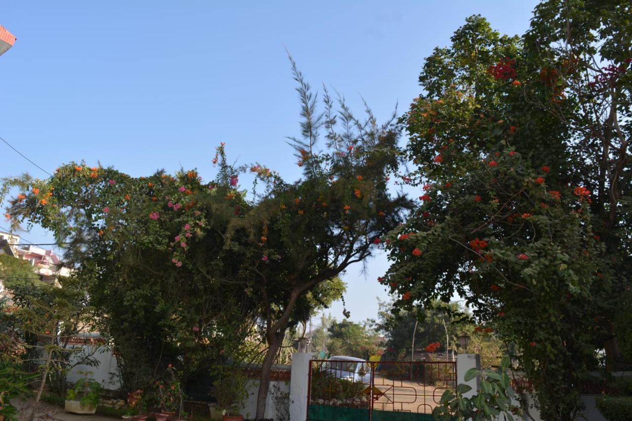 Jheelam Homestay โบปาล ภายนอก รูปภาพ